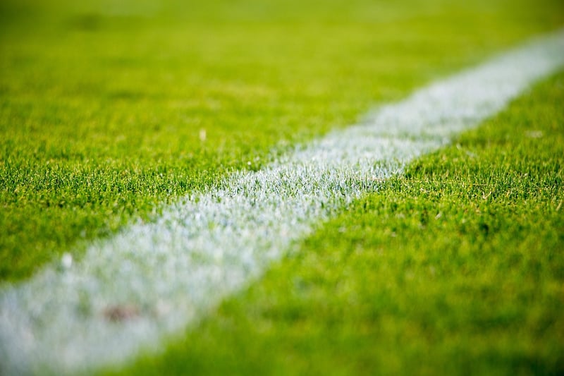 Artificial Grass